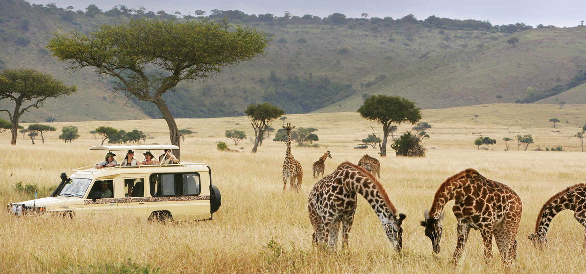 Maasai Mara Safari