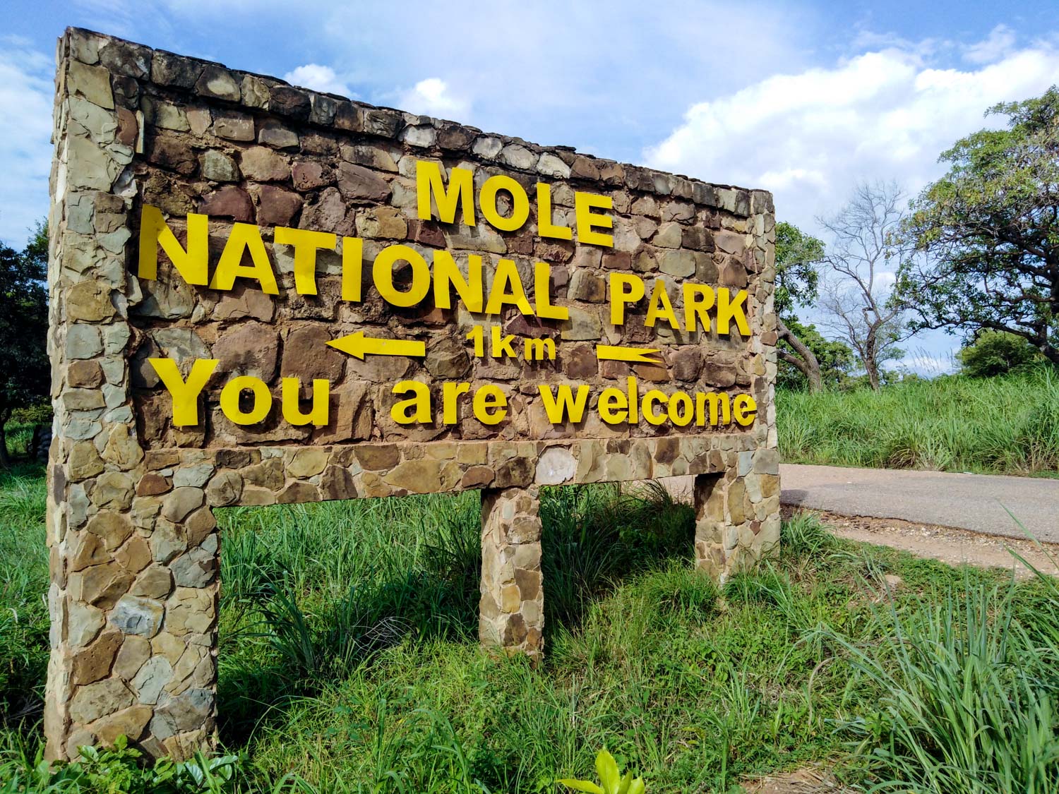 Mole National Park Safari
